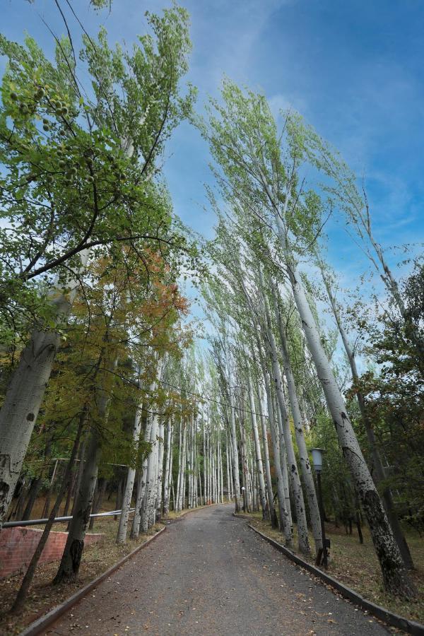 Park Resort Aghveran Dış mekan fotoğraf